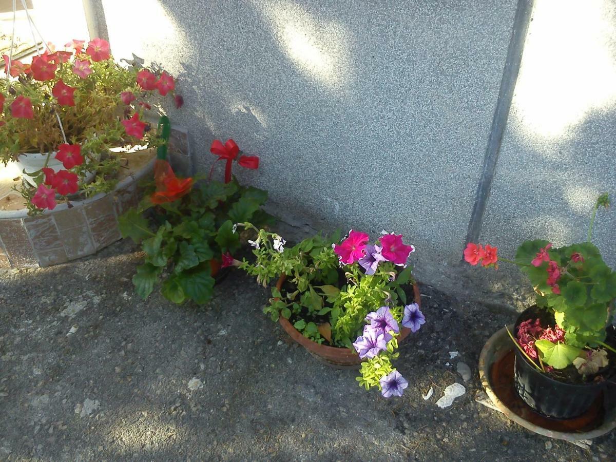Svilno Apartment