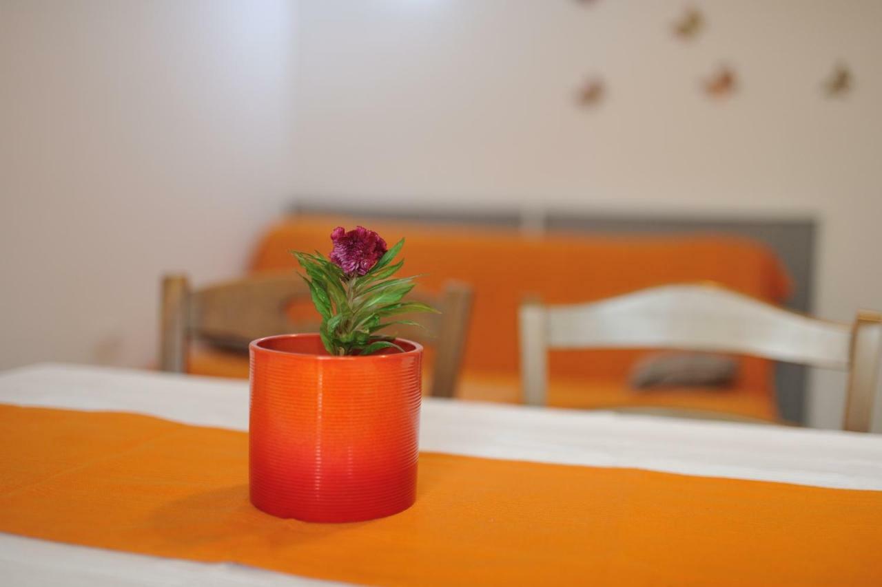 Apartment Svilno
