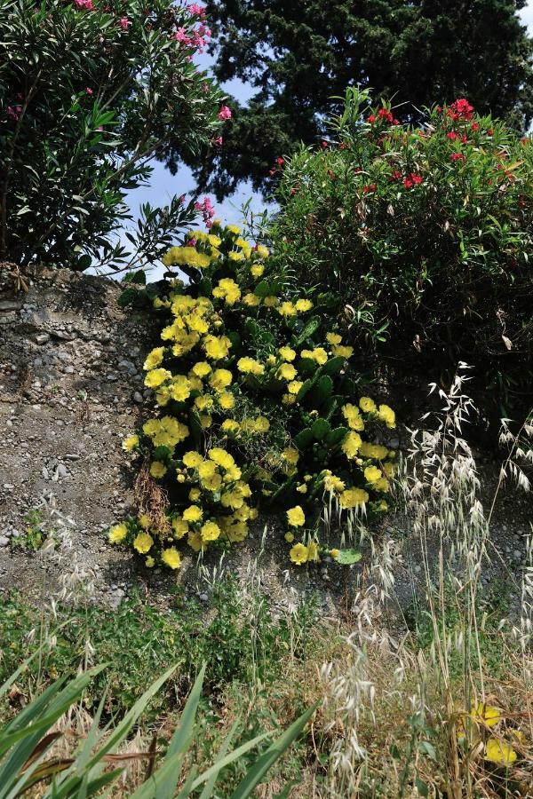 Svilno Appartamento Fiume