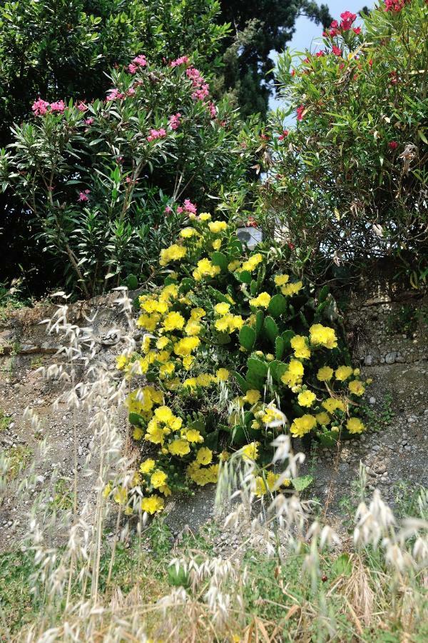 Svilno Appartamento Fiume